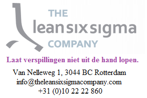 The Lean Six Sigma company